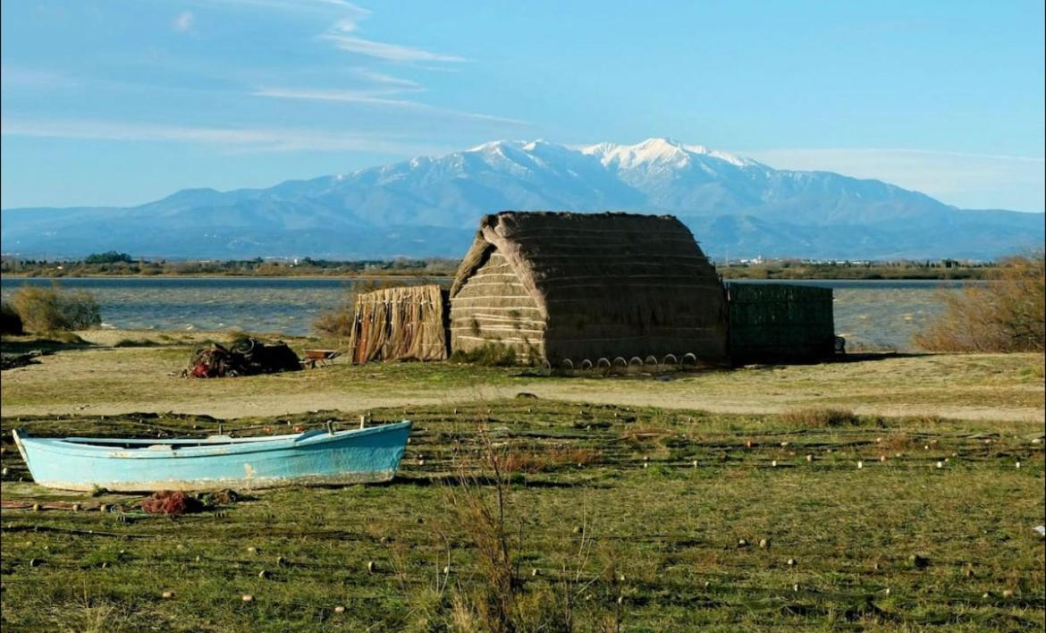 A 200M De La Mer Super Logement Cocoon Canet-en-Roussillon Εξωτερικό φωτογραφία